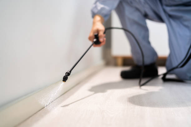 Professional exterminator conducting IPM assessment in Paloma Creek